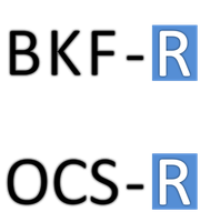 Logo des BKF-R